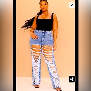 Plus Vintage Distressed Jeans